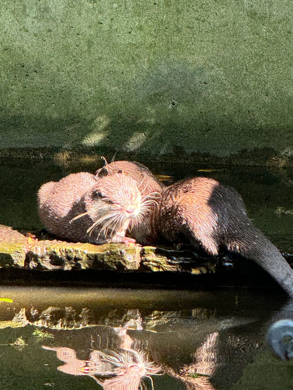 Besuch im Tiergehege Oberhausen